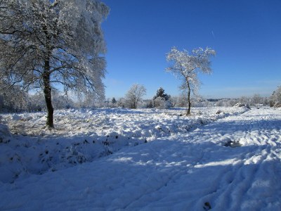 Holiday apartment "Zum Torfstecher" - Environment photo 17