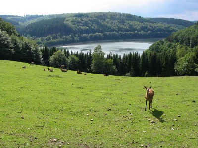 Holiday apartment "Zum Torfstecher" - Environment photo 18