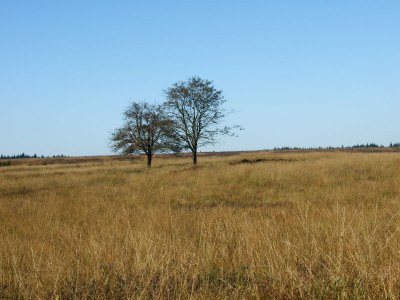 Holiday apartment "Zum Torfstecher" - Environment photo 19