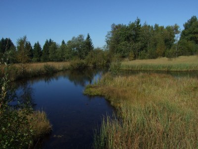 Holiday apartment "Zum Torfstecher" - Environment photo 22