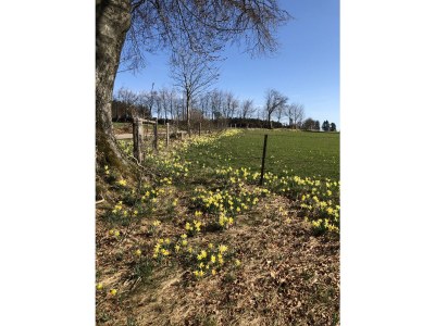 Holiday apartment "Zum Torfstecher" - Environment photo 23