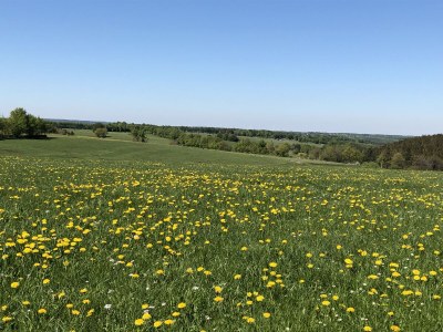 Holiday apartment "Zum Torfstecher" - Environment photo 24