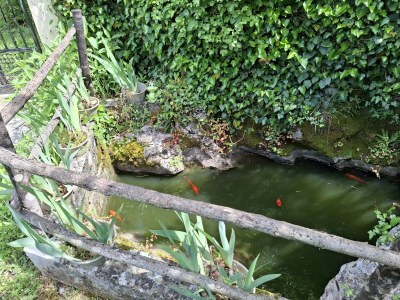 Holiday house Gioia Cristina - Outdoor photo 10