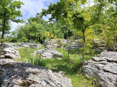 Holiday house Gioia Cristina - Outdoor photo 12