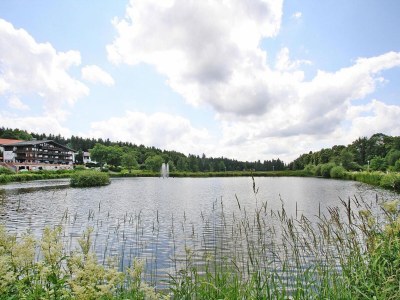 Apartment Ferienwohnung, Hahnenklee - Environment photo 23
