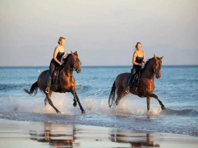 Holiday house Holiday Home in Málaga near Sea Beach - Environment photo 15
