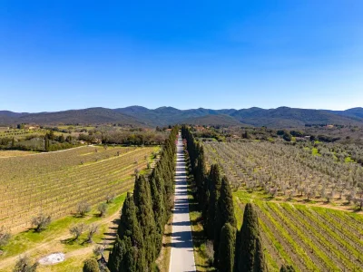 Villa Mulino Rotone - Environment photo 35