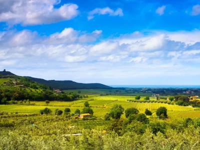 Villa Mulino Rotone - Environment photo 36