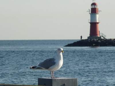 Holiday apartment Hahns - Environment photo 11