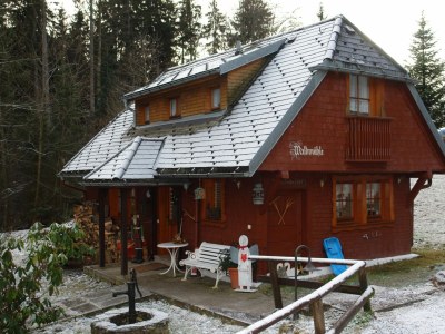 Holiday house "Forestmill" at residential park Weiherhof at lake Titisee - Outdoor photo 3