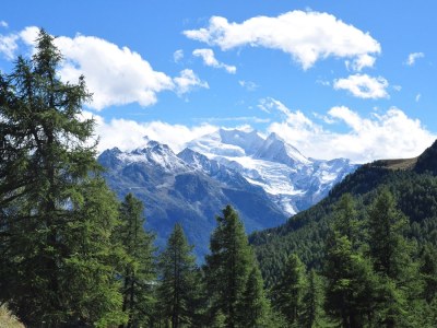 Holiday house "Forestmill" at residential park Weiherhof at lake Titisee - Environment photo 17