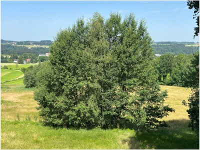 Holiday apartment No title - Outdoor photo 8