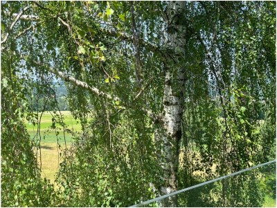 Holiday apartment No title - Outdoor photo 11