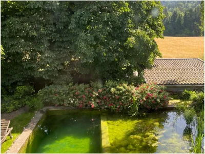 Holiday apartment No title - Outdoor photo 12