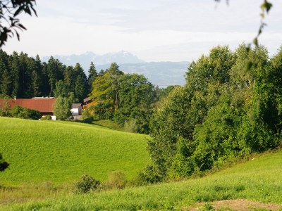 Holiday apartment No title - Environment photo 28