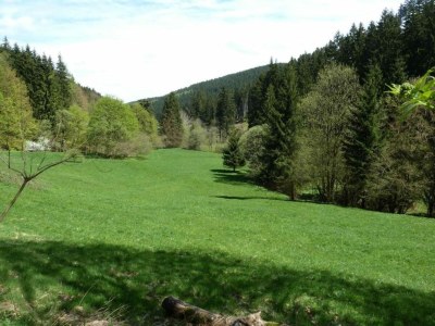 Apartment Charmante Waldflucht für Zwei - Environment photo 22