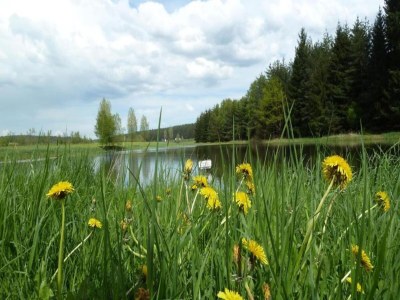 Apartment Charmante Waldflucht für Zwei - Environment photo 23