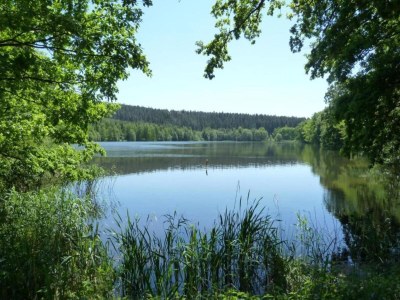 Apartment Charmante Waldflucht für Zwei - Environment photo 26