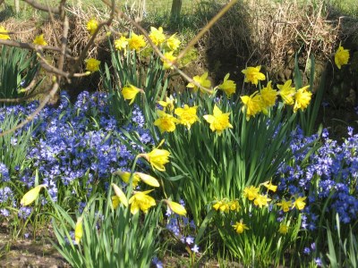 Holiday apartment Lambertsen - Outdoor photo 6