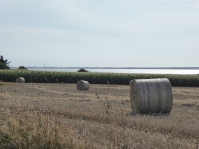 Holiday apartment Lambertsen - Outdoor photo 13