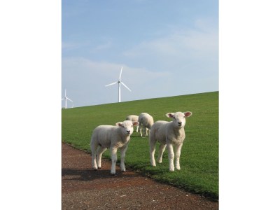 Holiday apartment Lambertsen - Environment photo 25