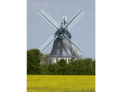 Holiday apartment Lambertsen - Environment photo 27