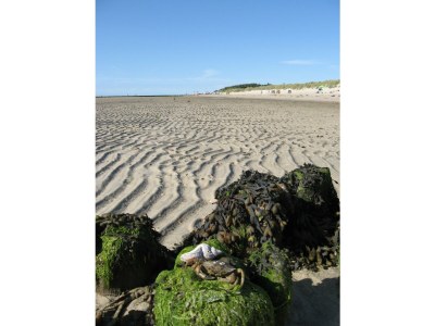 Holiday apartment Lambertsen - Environment photo 32