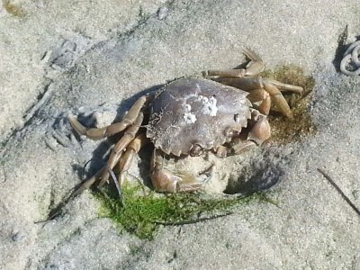 Holiday apartment Lambertsen - Environment photo 34