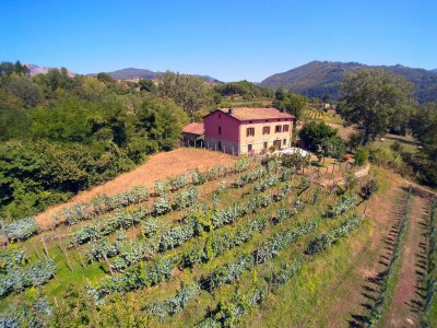 Holiday house Castiglione di Garfagnana Haven in Castiglione di Garfagnana - Holiday house