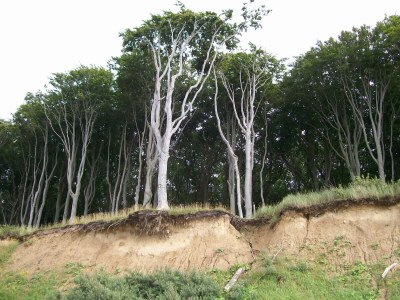 Holiday apartment No title - Environment photo 16