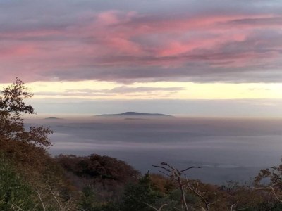 Villa Wohnung am See mit Gartenblick - Environment photo 20