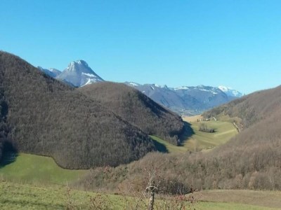 Villa Wohnung am See mit Gartenblick - Environment photo 23