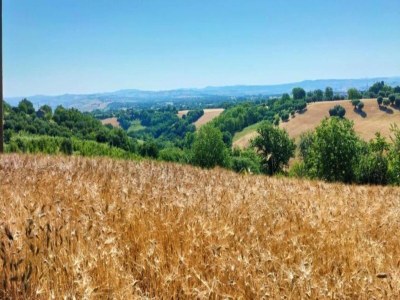 Villa Wohnung am See mit Gartenblick - Environment photo 24