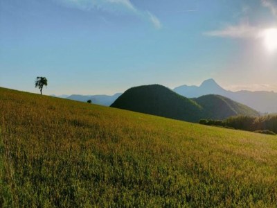 Villa Wohnung am See mit Gartenblick - Environment photo 25