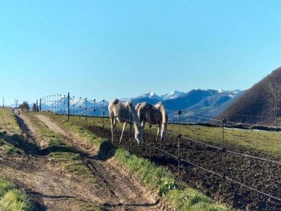 Villa Wohnung am See mit Gartenblick - Environment photo 26