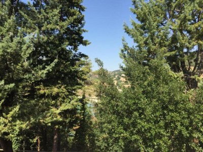 Villa Wohnung am See mit Gartenblick - Environment photo 30