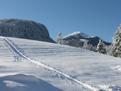 Apartment Ferienwohnung Wildseeloder - Outdoor photo 3