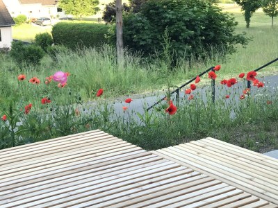 Apartment eifelhausaufzeit, Chalet mit Sauna, seenah - Outdoor photo 26