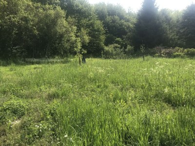 Apartment eifelhausaufzeit, Chalet mit Sauna, seenah - Outdoor photo 35