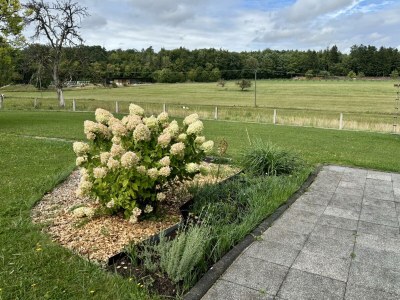 Apartment 10-Bett-Ferienhaus Haus Hanni - Outdoor photo 18