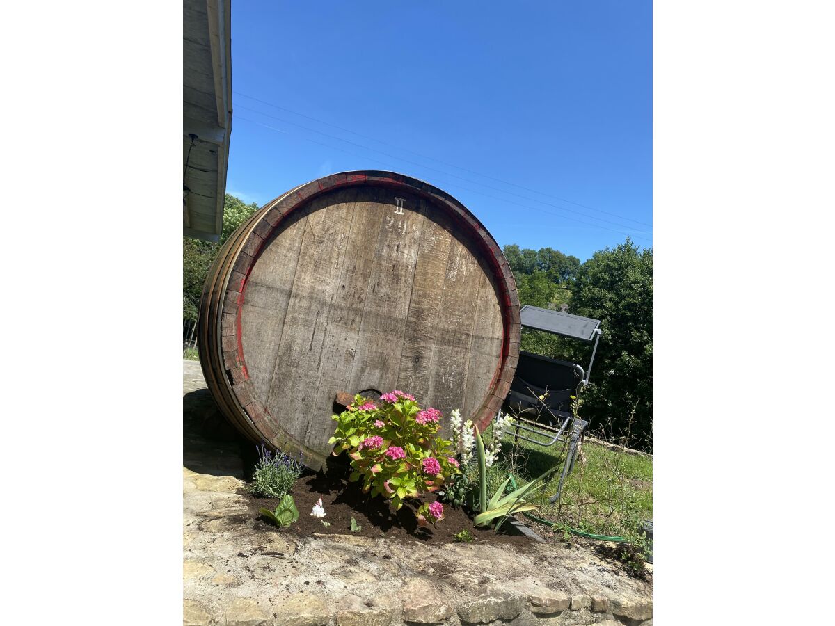 Apartment 2-Bett-Ferienwohnung Dusche/WC, 1 Schlafraum - Features photo 5