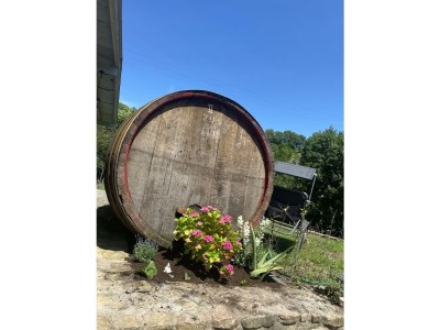 Apartment 2-Bett-Ferienwohnung Dusche/WC, 1 Schlafraum - Features photo 5