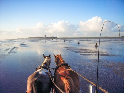 Holiday apartment H&P in Cuxhaven - Environment photo 12