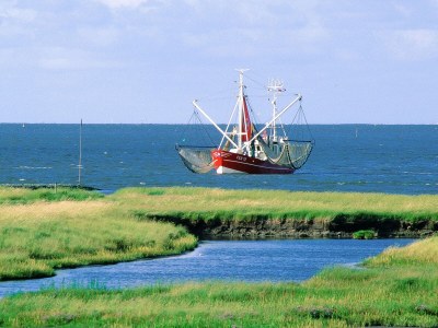 Holiday apartment H&P in Cuxhaven - Environment photo 13