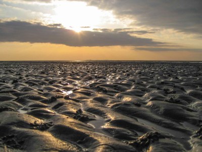 Holiday apartment H&P in Cuxhaven - Environment photo 15