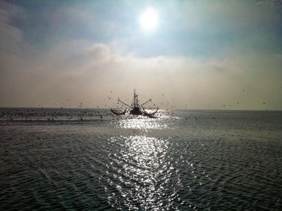 Holiday apartment H&P in Cuxhaven - Environment photo 16