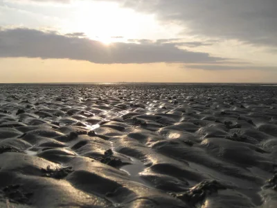 Holiday apartment H&P in Cuxhaven - Environment photo 13