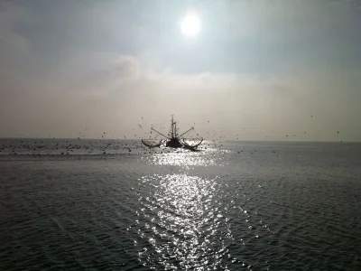 Holiday apartment H&P in Cuxhaven - Environment photo 16