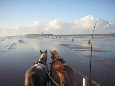 Holiday apartment H&P in Cuxhaven - Environment photo 18