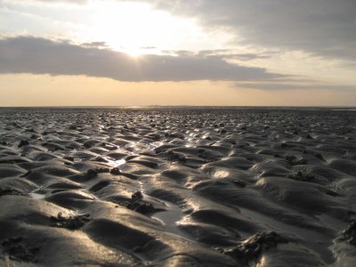 Holiday apartment H&P in Cuxhaven - Environment photo 12